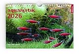 aquaristik 2026 - Foto-Wandkalender