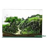Dennerle 5755 Scaper's Tank Complete LED, 35 L