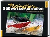 Faszination Süßwassergarnelen